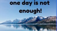 Wyoming Department Of Insurance Complaints 2021