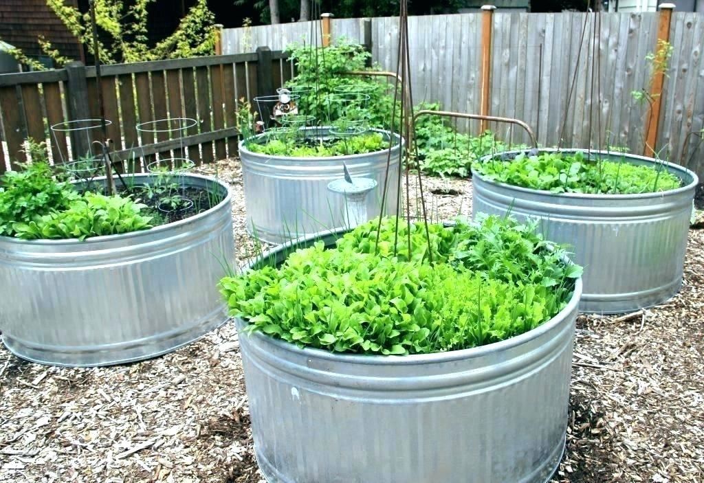 Stock Tank Gardens From Start To Finish Ideas